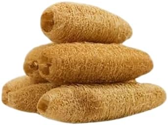 Organic Loofah Sponge 5 Pack – 100% Natural Body Scrubber Set | Eco-Friendly, Biodegradable Bath Sponges for Shower & Exfoliation