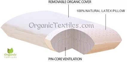 ORGANIC TEXTILES Talalay Latex Pillow with Organic Cotton Cover (King, Plush)