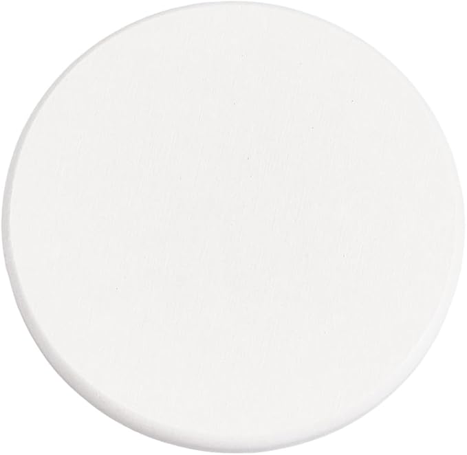 CREATCABIN 3Pcs Water Absorbent Diatomite Coasters Round Diatomaceous Earth Tray 3.9" White Quick Dry Stone Soap Dish Holder Toothbrush Bath Stone Mat for Kitchen Counter Cups Drinks Bottles Plants