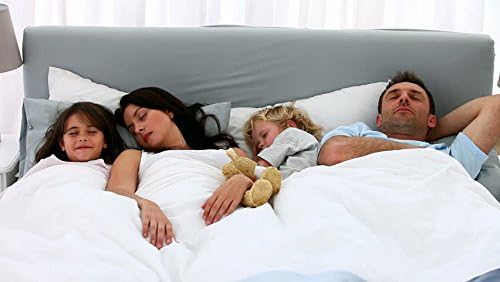 9.8 NEWTON Eco Friendly Oversized King Comforter 120x132 Down Alternative for All Season,Brown Quilted Duvet Insert with All Side Corner Tabs Microfiber Silicon Mix 700+ Fill Power Comforter