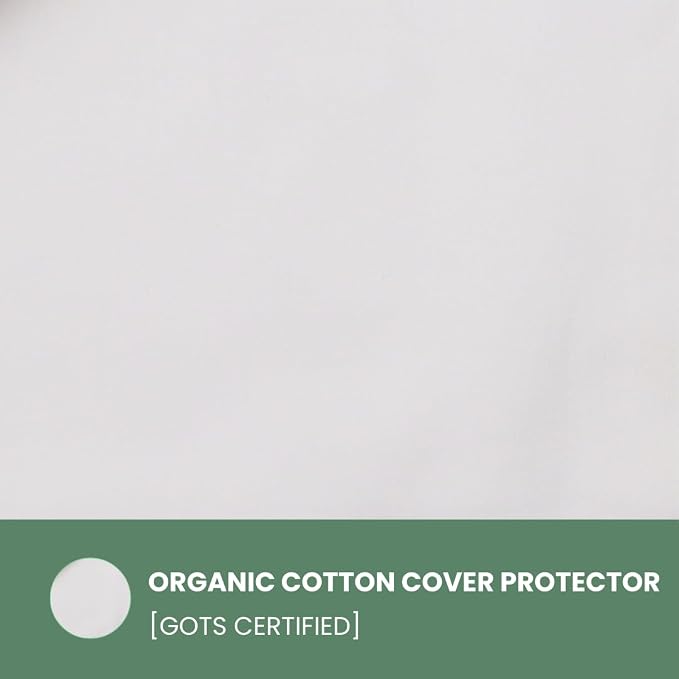 ORGANIC TEXTILES Organic Latex Contour Pillow with Organic Cotton Cover - GOTS & GOLS Certified, Ergonomic Contour Design, Bed Pillow, Spine Support - (Low Loft, Soft) - Pack of 2