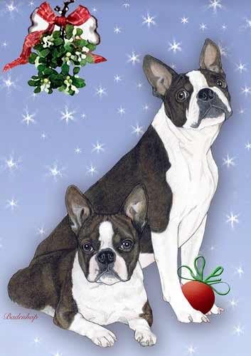 Boston Terrier Christmas Cards : 10 Holiday Cards with White Envelopes