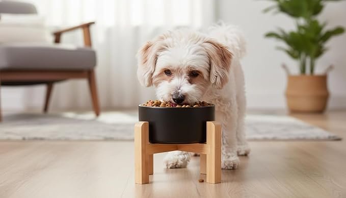 Elevated/Raised Ceramic Dog Bowl with Bamboo Stand,8 inch 7.6 Cups Non-Slip Heavy-Weighted Single Pet Dish, Reduces Neck Strain Black