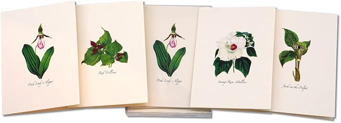 Earth Sky + Water - Woodland Wildflower Assortment Notecard Set - 8 Blank Cards with Envelopes (2 each of 4 styles)