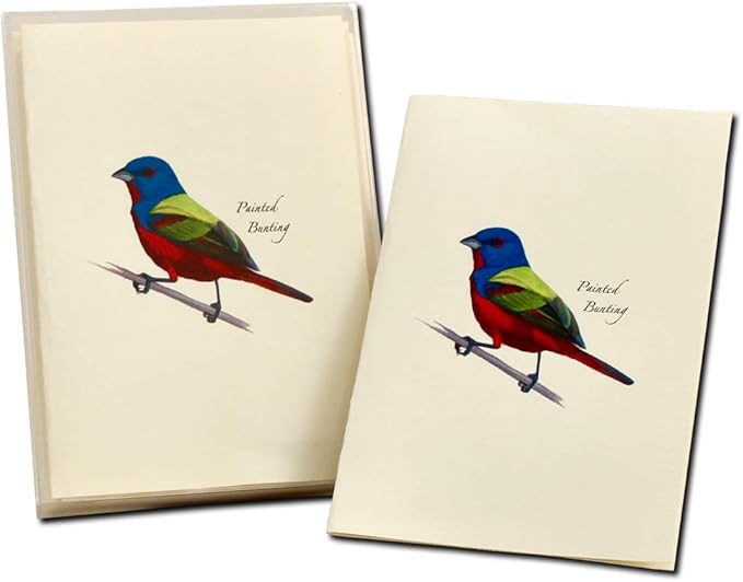 Earth Sky + Water - Painted Bunting Notecard Set - 8 Blank Cards with Envelopes