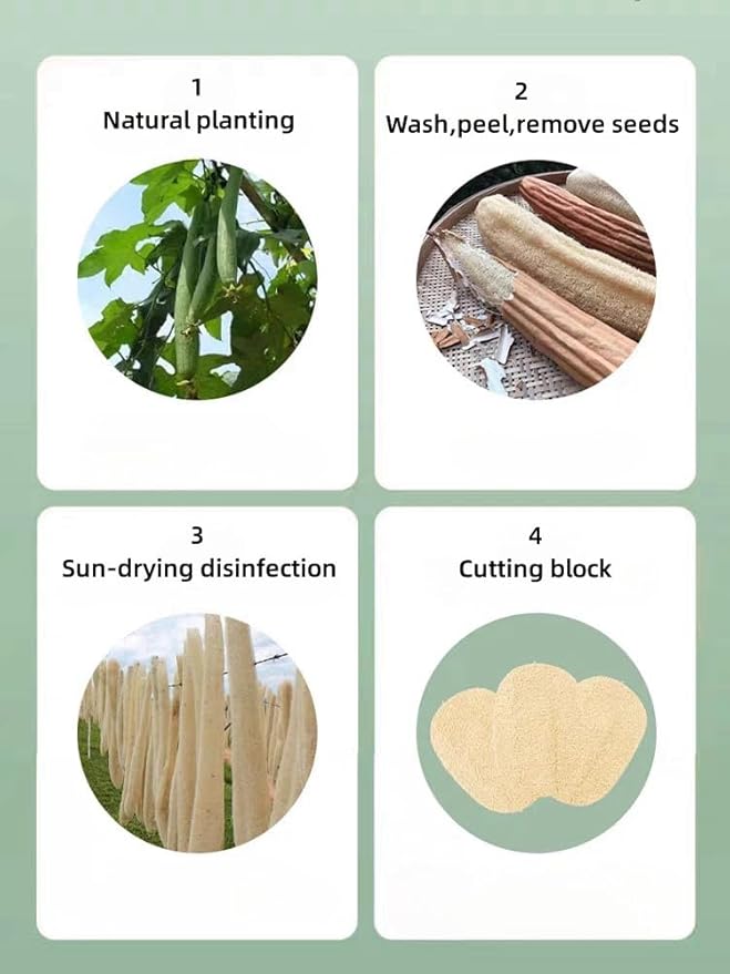 WOCATS 6 Pack Natural Loofah Sponges for Dishes & Bath - Biodegradable, Eco-Friendly Kitchen Scrubber & Body Exfoliator, Non-Scratch, Durable, Reusable