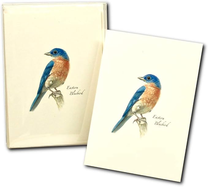 Earth Sky + Water - Bluebird Notecard Set II - 8 Blank Cards with Envelopes