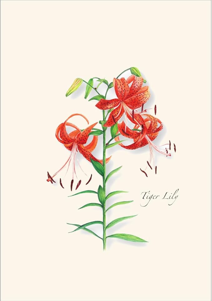 Earth Sky + Water - Garden Favorites Assortment Notecard Set - 8 Blank Cards with Envelopes (2 each of 4 styles)