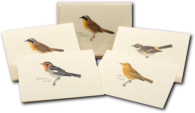 Earth Sky + Water - Peterson Warbler Assortment Notecard Set - 8 Blank Cards with Envelopes (2 each of 4 styles)