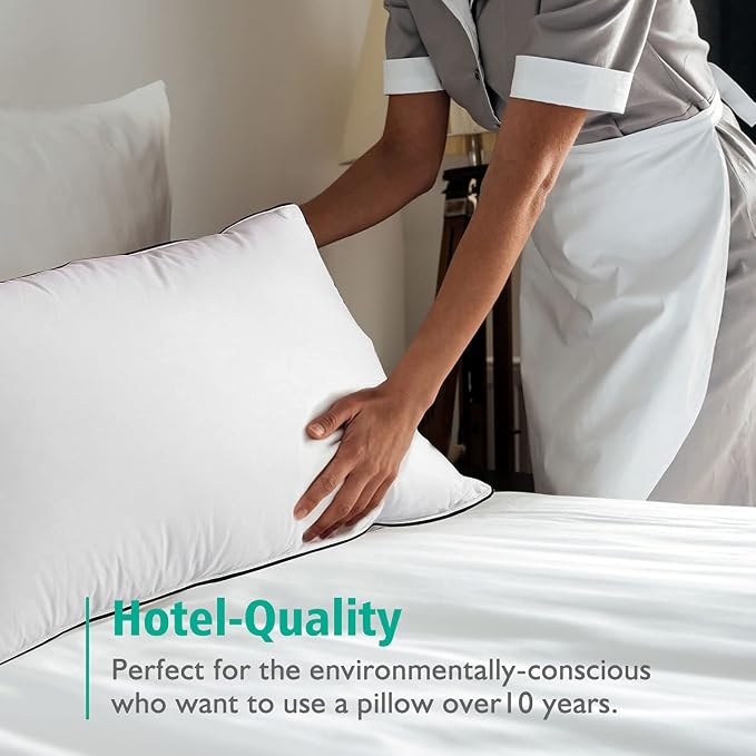 APSMILE Organic Feather Down Pillows Set of 2, King Size Bed Pillows for Sleeping with 100% Cotton Cover, 3-Chamber Hybrid Feather Down Core Pillow Surrounded by Polyester, 20x36 Inches
