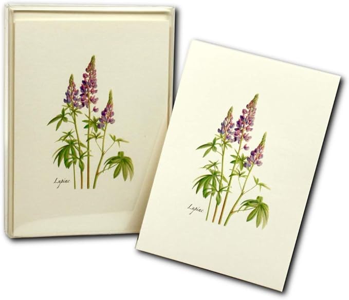 Earth Sky + Water - Lupine Notecard Set - 8 Blank Cards with Envelopes