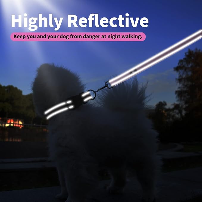 IVY&LANE Reflective Dog Collar and Leash Set,Adjustable Neoprene Padded Dog Collars, Breathable Nylon Pet Collar for Small Medium Large Dogs(X-Small,Fuchsia Pink)