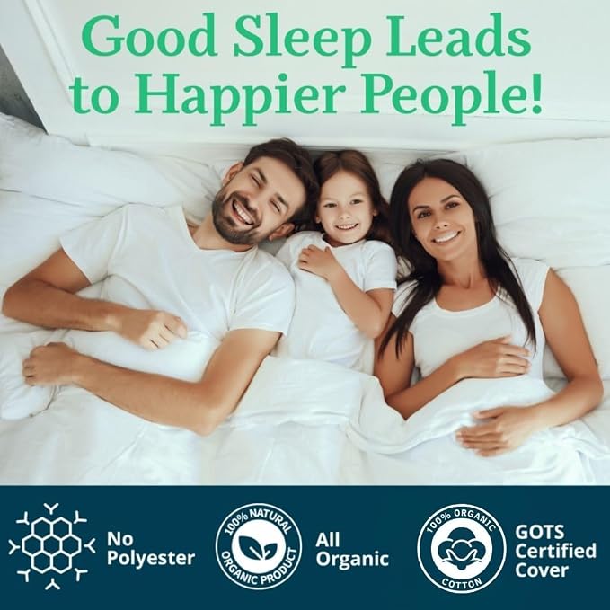 OrganicTextiles Natural Latex Pillows with Organic Cotton Cover GOTS Certified, Bed Pillow for Sleeping, Neck Pain Relief, Head Support, for Side Back Stomach Sleeper (Standard, Firm) - Pack of 2