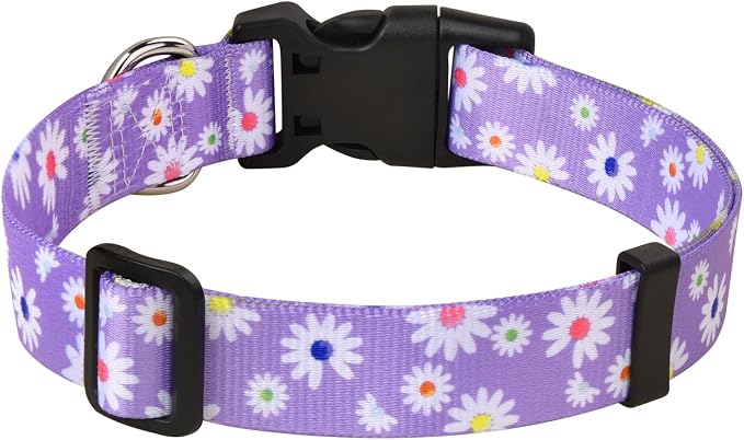 MarukoPet Dog Collar and Leash Set, Adjustable for Small Medium Large Dogs Puppy, Cute Design with Bohemia Floral Tribal Geometric Patterns Boys Girls Dog Collar(Purple Daisy Set,M)