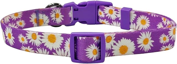 Dog Collar and Leash Set, Cute Daisy Pattern, Polyester Material, 5ft Leash, for Puppy Dogs.(Extra Small,Purple Daisy)