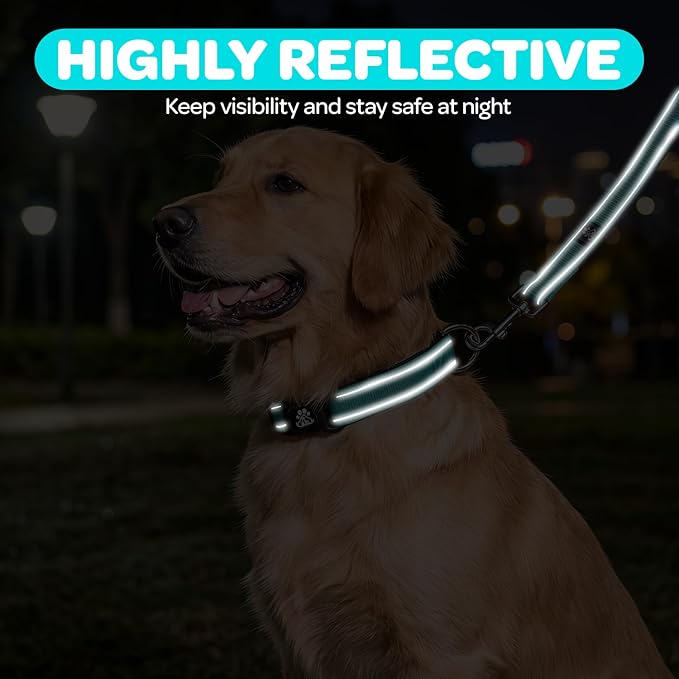 FURRYFECTION Reflective Neoprene Padded Dog Collar and Leash Set with Quick Release Buckle, Adjustable for Small Medium and Large Dogs (Small + 5FT Leash, Teal)