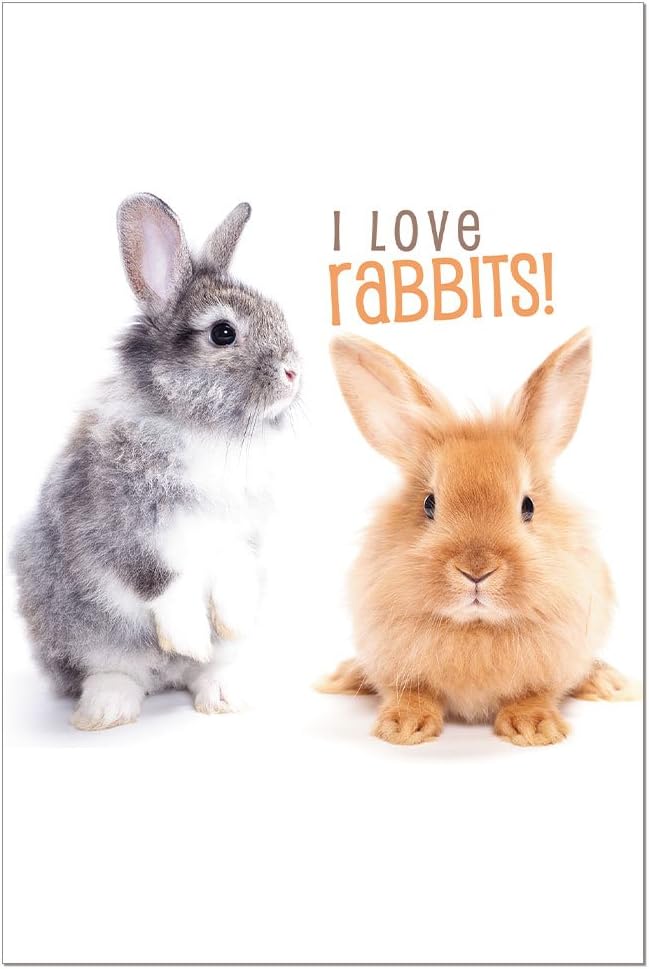 Tree-Free Greetings - All Occasion Cards - Artful Designs - 12 Greeting Cards + White Envelopes - Made in USA - 100% Recycled Paper - 4 x 6 - I Love Rabbits (FS56358)