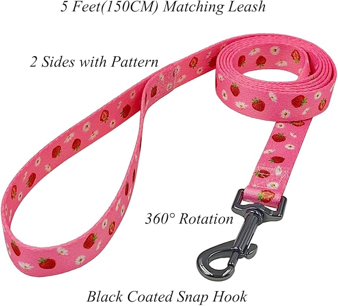 Dog Collar Leash Set, Floral Pattern, Polyester Material, Adjustable Collar and 5ft Matchcing Leash, for Puppy Dogs.(XS, Daisy and Strawberry)