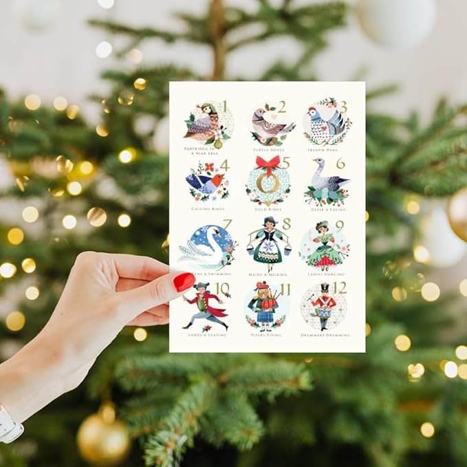 Tree-Free Greetings - Season's Greeting Cards - Artful Designs - 12 Cards + Matching Envelopes - Made in USA - 100% Recycled Paper - 5 x 7-12 Days (VP80732)