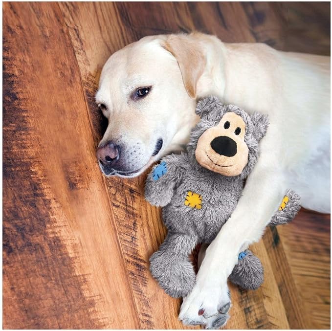 KONG Wild Knots Bears - Durable Dog Toys with Internal Knotted Ropes and Minimal Stuffing for Less Mess (Assorted Colors) (Medium/Large (2 Pack))