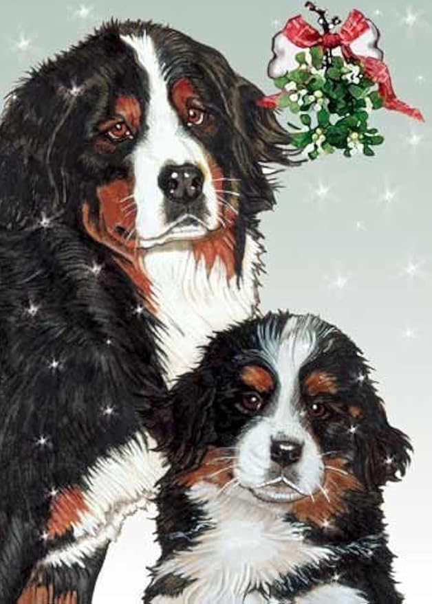 Bernese Mountain Dog Christmas Cards : 10 Holiday Cards with White Envelopes - ADORABLE!