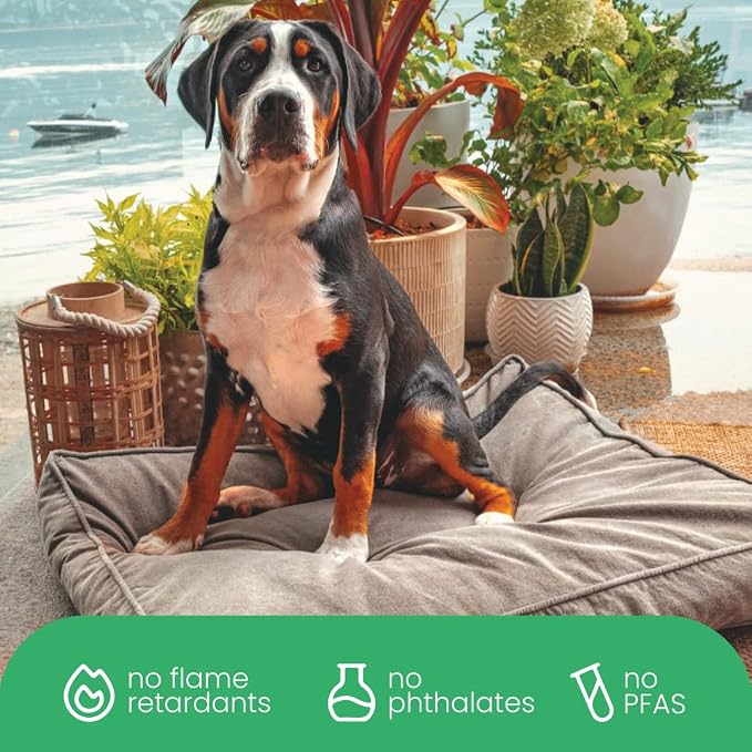 Molly Mutt Jupiter Dog Bed Duvet Cover, GOTS-Certified 100% Cotton Canvas Cover for Dog, Puppy, or Cat Bed, Durable, Washable, and Free of Harmful Chemicals, Small, 22"x27"x5", Brown