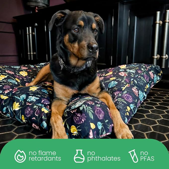Molly Mutt Friday Morning Dog Bed Duvet Cover, GOTS-Certified 100% Organic Cotton Canvas Cover for Dog, Puppy, or Cat Bed, Durable, Washable, and Free of Harmful Chemicals, Huge, 36"x45"x5"