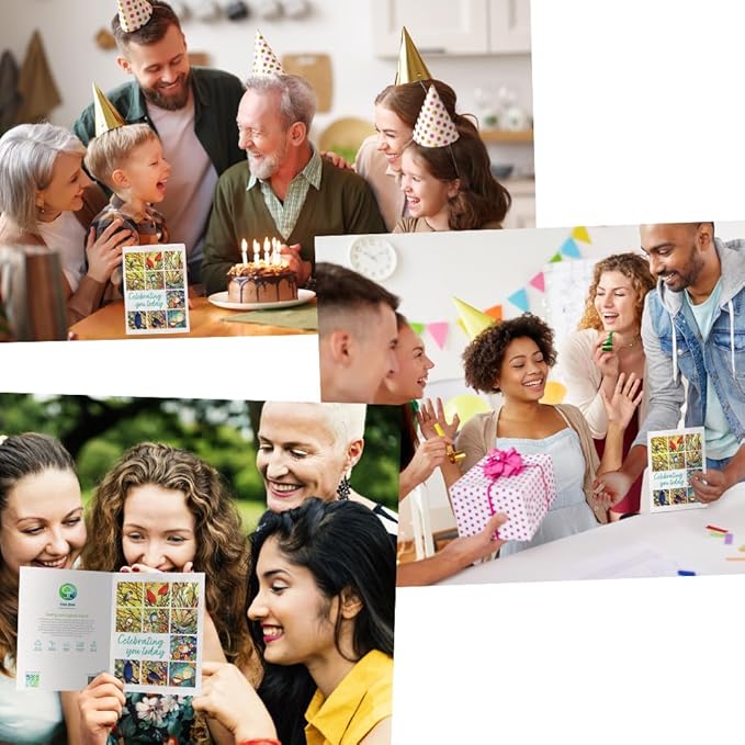 Tree-Free Greetings - Birthday Cards - Artful Designs - 2 Cards + Matching Envelopes - Made in USA - 100% Recycled Paper - 5 x 7 - Bird Celebration (GT61549)