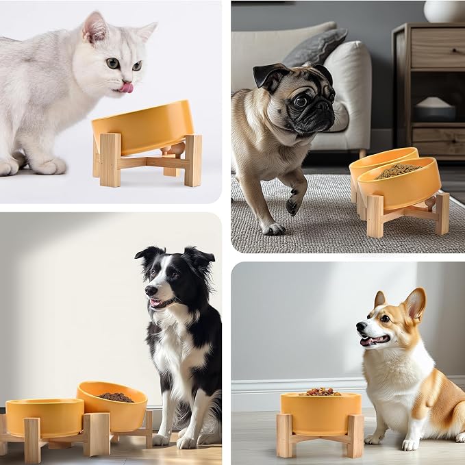 SPUNKYJUNKY 15° Slanted Ceramic Dog and Cat Bowl with Wooden Stand, Tilted Bulldog Food and Water Bowl No Slip Non-Spill for Cats Medium Dogs Big Face Pets 13.5 OZ (1.7 Cups, Yellow × 2)