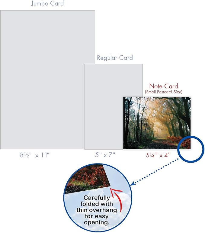 The Best Card Company - Box of 10 All Occasion Cards Blank (4 x 5.12 Inch) - Scenic Landscape Cards Assorted - Shining Through M1735BN