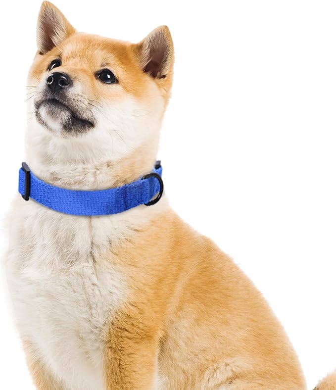 Mile High Life Soft & Strong Poly Cotton Adjustable Dog Collar with Quick Release Buckle for Small to Large Dogs(Blue, X-Small Neck 9"-13")