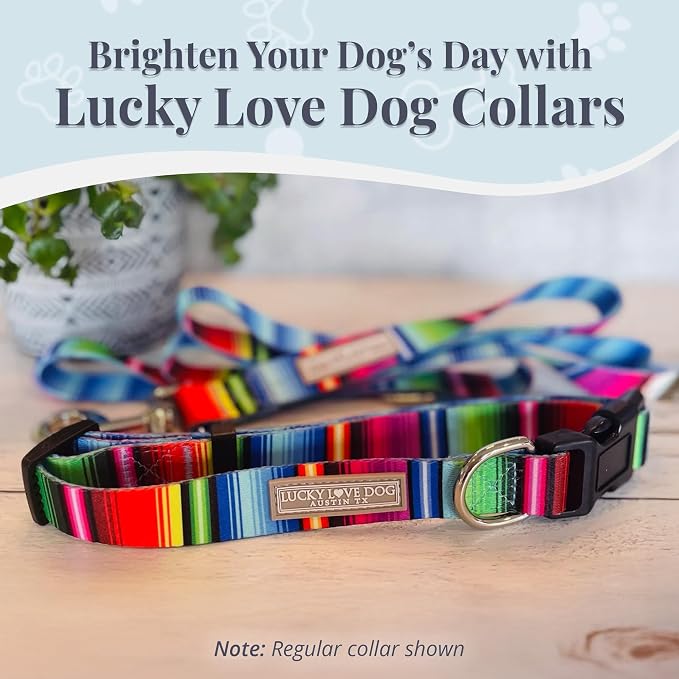 Lucky Love Dog Martingale Dog Collar & Leash - Adjustable, No-Slip, Durable, Comfortable, Soft Webbing, & Stylish Patterned Collar & Leash Set for Male and Female Dogs - Nacho Combo, Large