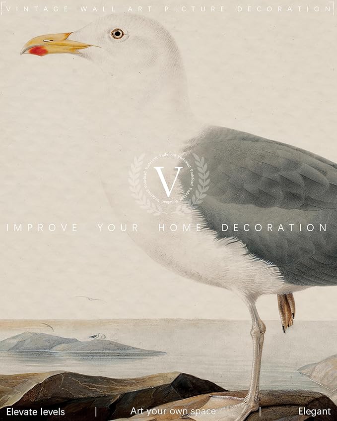 Vodefoad Vintage Seagull Print Large Seagull Nautical Bird Wall Art Coastal Print Beach House Wall Art Nautical Decor for Gallery Kitchen Living Room Bedroom (UNFRAMED 8x10in)