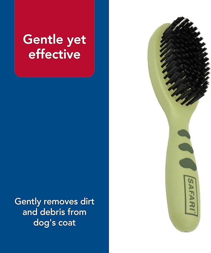 Coastal Safari Bristle Dog Brush - Gentle Grooming Brush for All Coat Types - Removes Dog Hair & Offers Natural Oil Distribution - Small