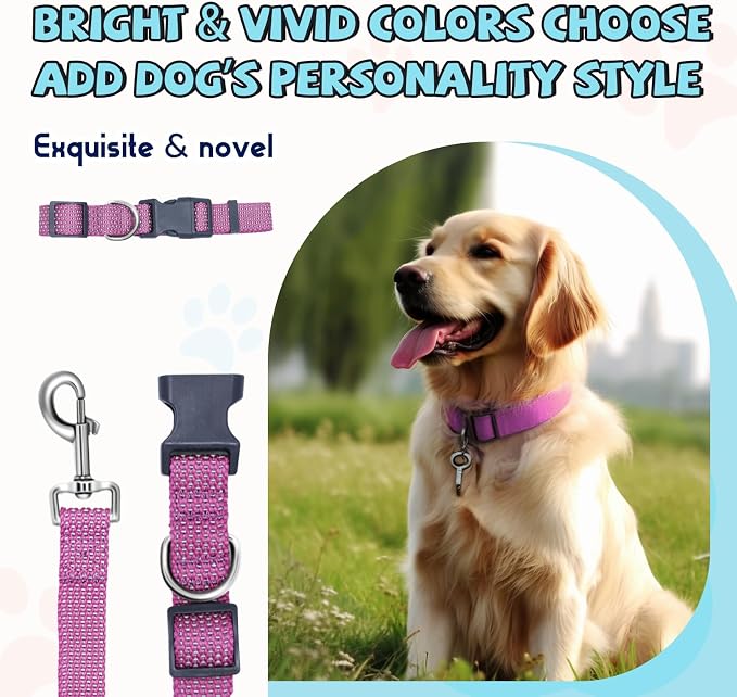 Reflective Dog Collar and Leash Set, Nylon Dog Leash with Heavy-Duty Steel D-Ring, Adjustable with Quick Release Buckle for Large Dogs, Purple L