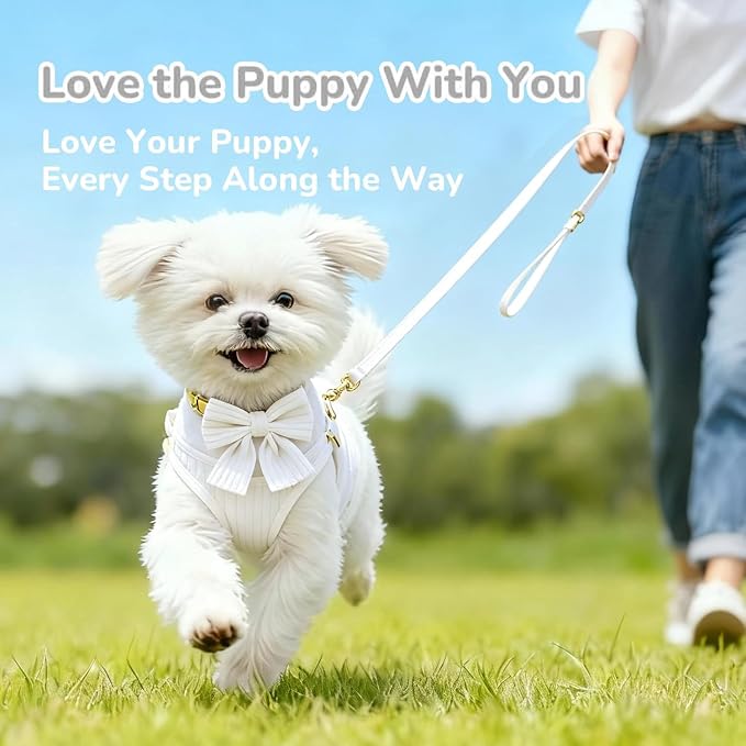 Small Dog Collar Harness and Leash Set with Bowtie, Adjustable Dog Harness Collar and Leash Set with Secure Metal Buckle, Breathable Cotton Adjustable Pet Puppy Harness, Easy Walk Harness, S(14–18.9")