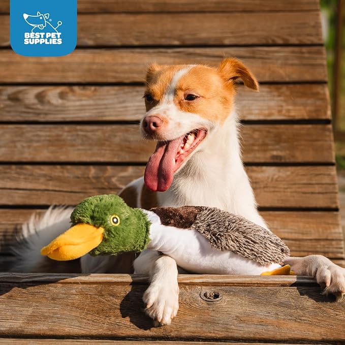 Best Pet Supplies Interactive Squeaky Dog Chew Toy, Ideal Dog Toys for Chewers, Small, Medium & Large Dogs, and Fetch Lovers - Mallard Duck (Gray, Gray, Brown), Small