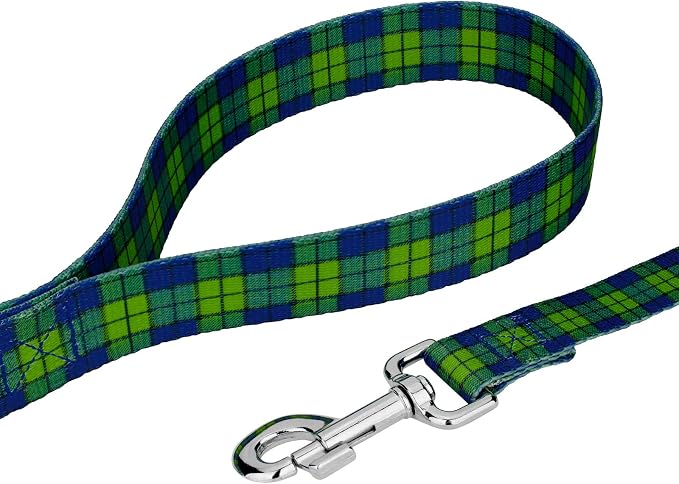 Country Brook Petz - Blue and Green Plaid Everyday Dog Collar and Leash - Plaid and Argyle Collection Featuring Charming Designs (5/8 Inch, Small)