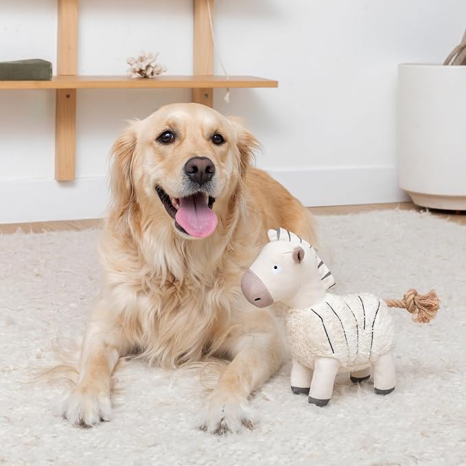 Fringe Studio Earned My Stripes 3D Earth Friendly Dog Toy, PetShop Collection (718011)
