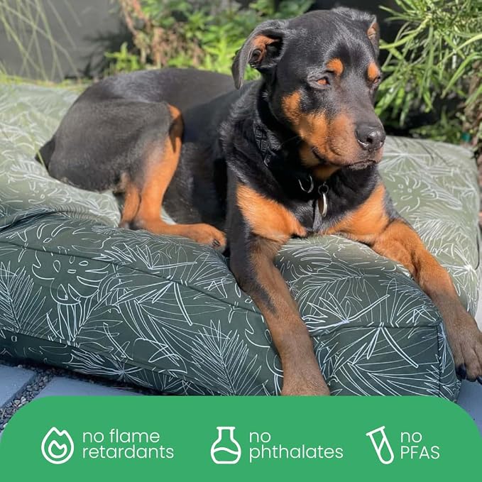 Molly Mutt Panama Dog Bed Duvet Cover, 100% Cotton Canvas Cover for Dog, Puppy, or Cat Bed, Durable, Washable, and Free of Harmful Chemicals, Medium/Large, 27"x36"x5"