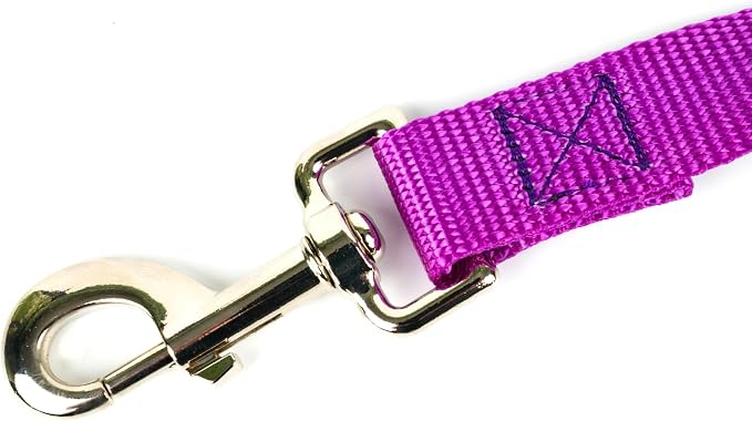 Country Brook Petz - Everyday Nylon Dog Collar and Leash - 10+ Cool Colors (3/4 Inch, Medium, Bright Purple)