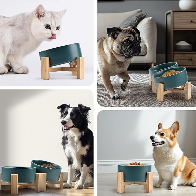 SPUNKYJUNKY 15° Slanted Ceramic Dog and Cat Bowl with Wooden Stand, Tilted Bulldog Food and Water Bowl No Slip Non-Spill for Cats Medium Dogs Big Face Pets 13.5 OZ (1.7 Cups, Green × 2)
