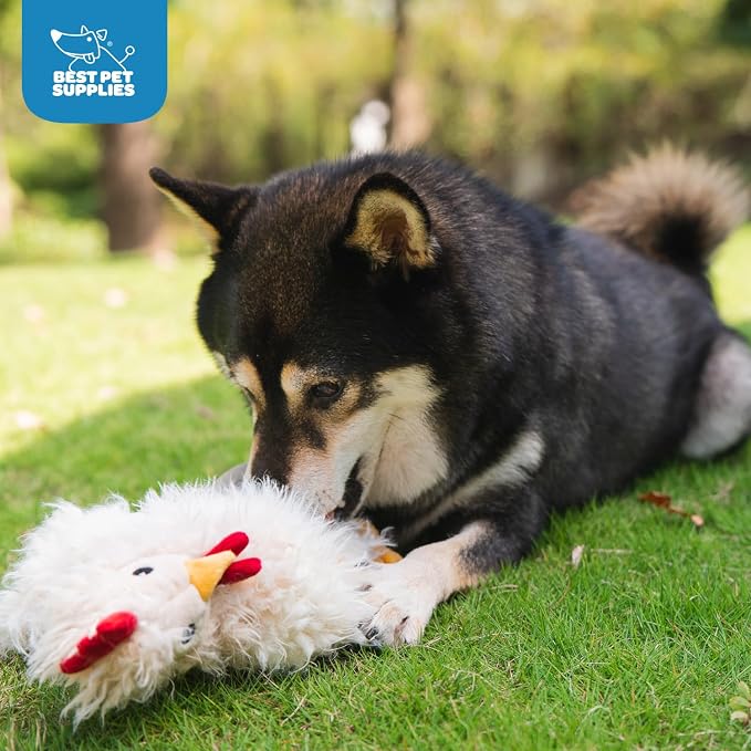 Best Pet Supplies Interactive Squeaky Dog Chew Toy, Ideal Dog Toys for Chewers, Small, Medium & Large Dogs, and Fetch Lovers - Crinkle Chicken (Beige), Large