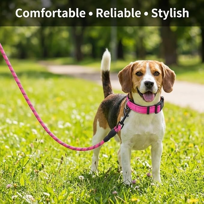 Dog Leash and Collar Set – 6 FT Strong Rope Leash with Padded Handle & Adjustable Nylon Collar Reflective for Small Medium Large Dogs (Pink, M)