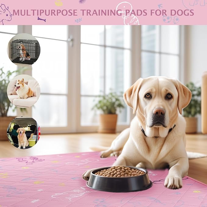 IEUUMLER Washable Pee Pads for Dogs, 2 Pack Non-Slip & Waterproof Whelping Pad, Reusable Puppy Potty Training With Fast Absorbent for Playpen EU007 (Pink Dinosaur, 24"X48"-2pcs)