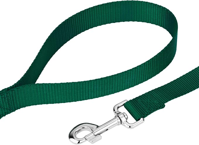 Country Brook Petz - Deluxe Nylon Dog Collar and Leash - 10+ Cool Colors (3/4 Inch, Small, Green)