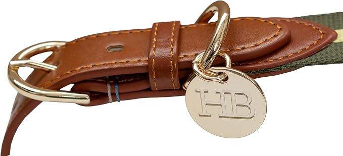 Harry Barker Blue Pieced Stripe Buckle Collar - Medium