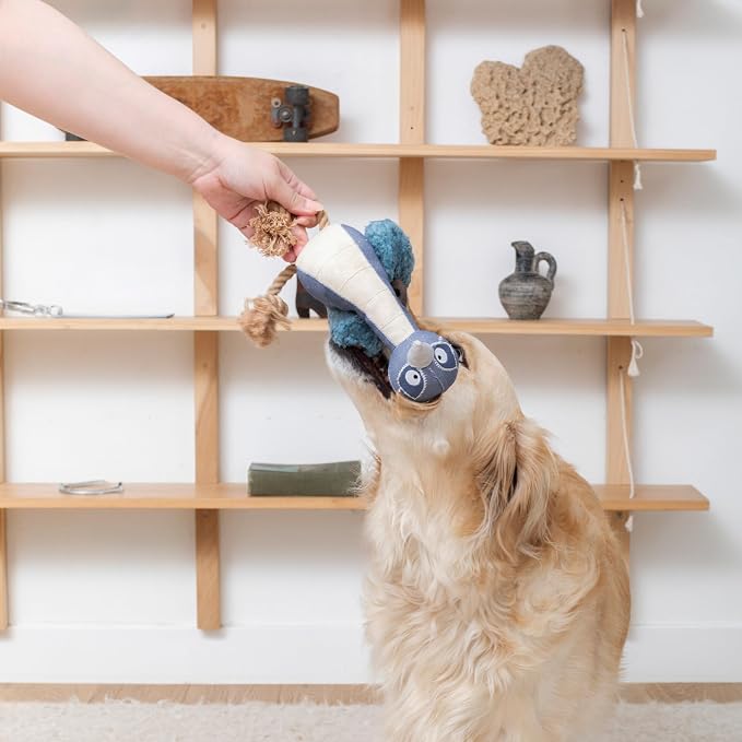 Fringe Studio Feather Than Ever 3D Earth Friendly Dog Toy, PetShop Collection (718012)