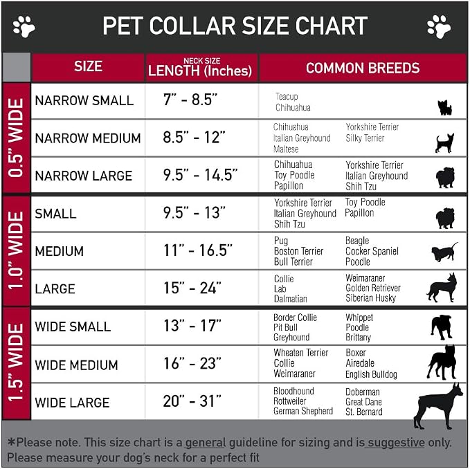 Buckle-Down Dog Collar Plastic Clip Natural Hemp 13 to 18 Inches 1.5 Inch Wide