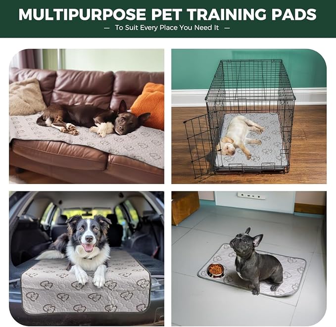 FXW Washable Pee Pads for Dogs, Leak-Proof & Non-Slip, Specifically Designed for Whelping Box, 39" Round, Khaki, 1 Pack
